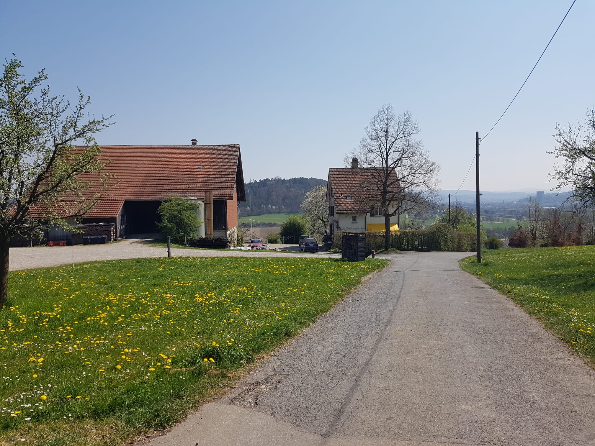 Der Hof im Frühling